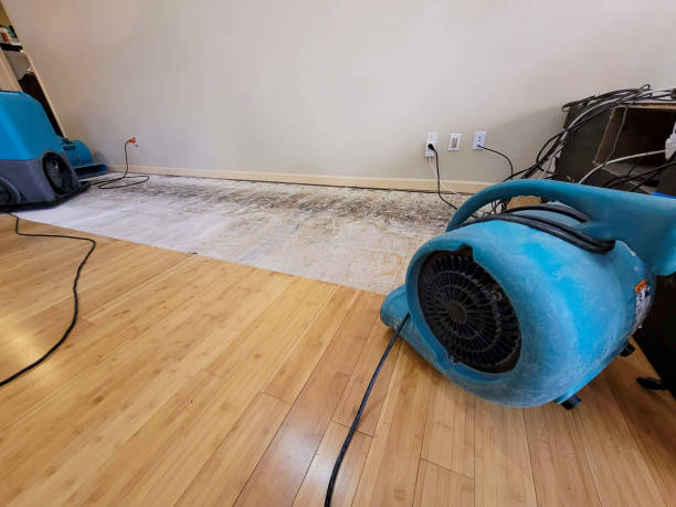 Professional Ceiling Water Damage Repair technician working in Ipswich, MA